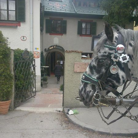 Haus Wartenberg Hotel Salzburg Buitenkant foto